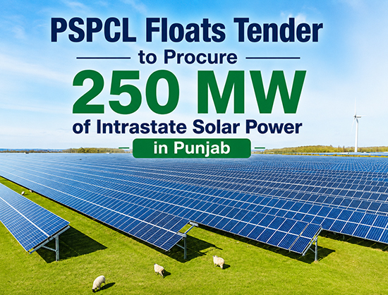 PSPCL Invites Bids to Procure 250 MW Solar Power from Intrastate Projects in Punjab